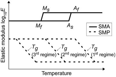 Investigation of Interfacial Shear Stresses, Shape Fixity, and Actuation Strain in Composites Incorporating Shape Memory Polymers and Shape Memory Alloys